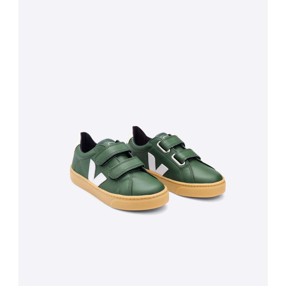 Veja ESPLAR LEATHER Schoenen Kinderen Groen | BE 736TCE